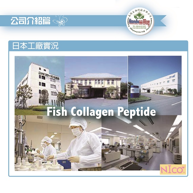日本魚鱗膠原蛋白工廠